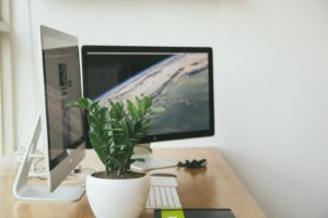 graphic designer desk plant two mac monitors